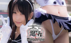 [Lenfried ] Monochrome Shimakaze