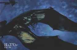 Blood+ File:05 (Booklet)