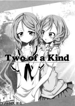 (C94) [ryu-minBS (ryu-min)] Two of a Kind (BanG Dream!) [Chinese] [EZR個人漢化]