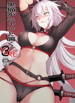 [IRON GRIMOIRE (SAKULA)] Kuroneko ga Nyan to Naku. 3RE | 검은 고양이가 냥하고. 3RE (Fate/Grand Order) [Korean] [Digital]