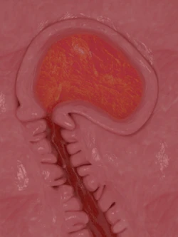 [Pixiv] Inui (5929057) [3D] [GIF]