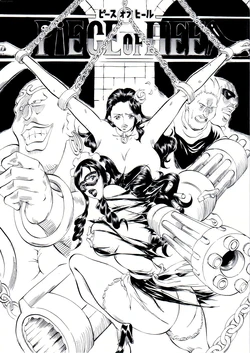 [Busou Megami (Kannaduki Kanna)] PIECE OF HEEL (One Piece) [Textless]