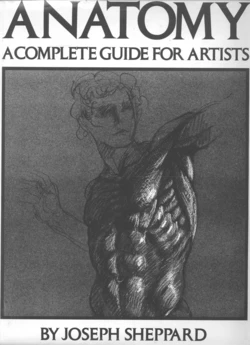 Anatomy-A Complete Guide for Artists - Joseph Sheppard