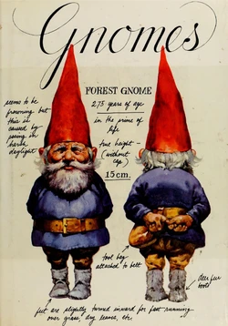 Gnomes by Wil Huygen, Rien Poortvliet
