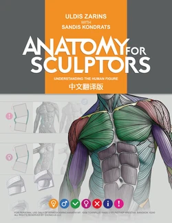 Anatomy for Sculptors - Uldis Zarins & Sandis Kondrats [Chinese version]