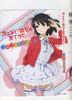 Saenai Heroine no Sodatekata complete book