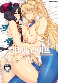 (C97) [Hirojuu Renshuuchou (Hiroya)] Chaldea Life IV | 칼데아 라이프 IV (Fate/Grand Order) [Korean] [그림판전사]