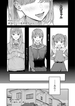 [Nejiganameta] Hontou ni baka na Onee-chan