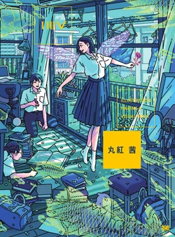 ILLUSTRATION MAKING & VISUAL BOOK Malbeni Akane