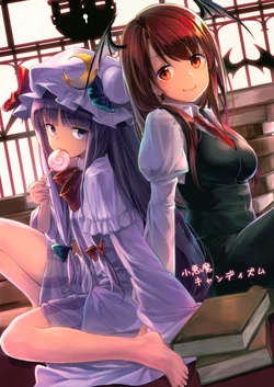 (秋季例大祭6) [あいまい豆腐 (おぼろふ)] 小悪魔キャンディズム (東方Project)
