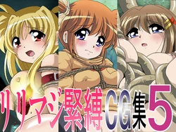 [Thirty Saver Street] LyriMagi Kinbaku CG Shuu 5 (Mahou Shoujo Lyrical Nanoha)