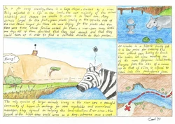 [Covima] The Stowaway