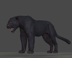 [J.A.] DMC5 |Shadow & Griffon Reference