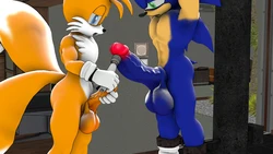 [HornyBunny] Miles Tails Prower's Revenge (NTR)