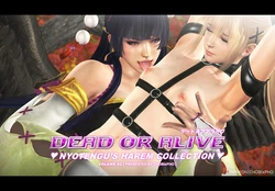 DOA / NYOTENGU'S HAREM COLLECTION 2 (CHOBIxPHO)