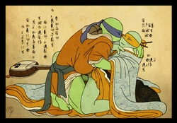 [Noor] Shunga (TMNT)