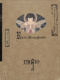 Takato Yamamoto - Rib of a Hermaphrodite