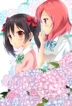 (C86) [Buta Tamatebako (Hyuga Aoi)] Datte... (Kyou wa) Nido to Konai (Love Live!)