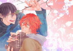 [Koremiyogashi (Kocharo)] Haru ga Kita (Yowamushi Pedal) [Digital]