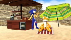 [BlueApple] Bad Girls Beach Bar (Sonic the Hedgehog)
