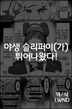 [Washuu] Yasei no Sleeper ga Tobidashi kita! (Pokémon) [Korean] [LWND]
