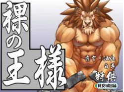 [Grenade (Bomb)] Hadaka no Ou-sama (Warzard) [Chinese] [同文城]