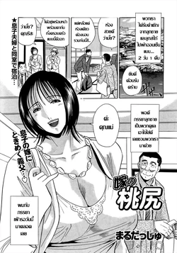 [Maru Dasshu] Yome no Momojiri (COMIC Bazooka 2011-11) [Thai ภาษาไทย]