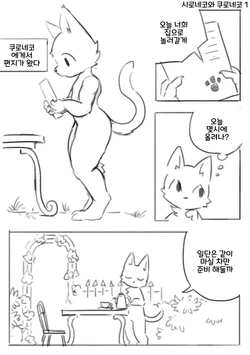 white cat and black cat (Koeran)