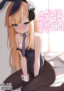 (C97) [Mumumu (Romm)] Shishou wa Hatsujou Bunny | 스승님은 발정 바니 (Fate/Grand Order) [Korean] [팀 털난보리]