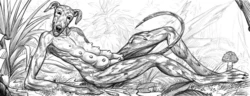 [ClapantGrifon] FurAffinity gallery