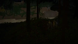 [smallflyingrat] A Loser Story