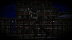 [smallflyingrat] Wonder Woman VS Catwoman (Wonder Woman)