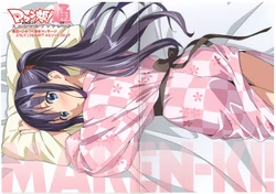 Maken-Ki! Two Special Booklet
