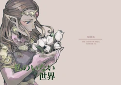 [SHRUB (Motegi Rikka)] Watashi no Inai Sekai (The Legend of Zelda: The Ocarina of Time) [Digital]