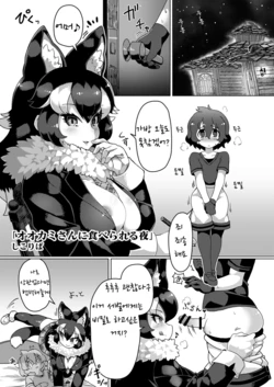 [Cent Millibar (Shikoripa)] Ookami-san ni Taberareru Yoru (Ii Kao Itadaki! Ecchi na Tairiku Ookami Goudou) (Kemono Friends) [Korean] [Digital]