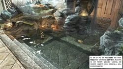 play2evolve