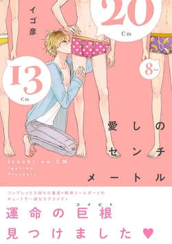 [Igohiko] Itoshi no Centimeter | 爱情的长度 [Chinese] [拾荒者汉化组] [Digital]