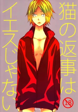 (C83) [CLIP-CLOP (Junko)] Neko no Henji wa Iesu Janai (Haikyuu!!) [English] {Yaoi Is Life}