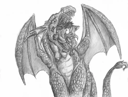 Sammy73's FA Gallery