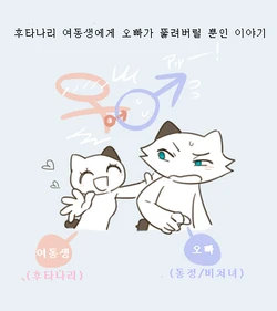 [komeko] Futanari no Imouto ni Ani ga Horareru dake no Hanashi | 후타나리 여동생에게 오빠가 뚫려버릴 뿐인 이야기 [Korean] [렷뭄가]