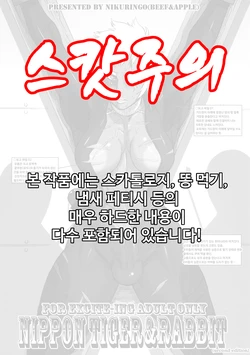 (C90) [Niku Ringo (Kakugari Kyoudai)] NIPPON TIGER & RABBIT [Korean]