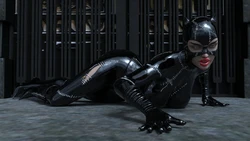 Bigotedeplorable - Catwoman Encounter