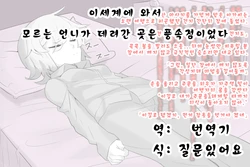 [Manekineko] Isekai ni Kite Mishiranu Onee-san ni Tsuiteittara Soko wa Fuuzokuten datta [Korean] [질문있어요]