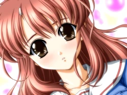[Panda House] Aoi Tori ~L’oiseau Bleu~
