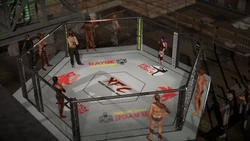 The 5 Rounds Episode.3 - When my older sister wants to be Honoka [DOA] - That should be enough! (Maybe) -