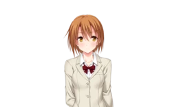 [Atelier Sakura Team.NTR] Swapping Party - Character Set