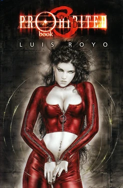 Royo - Prohibited Book 3 (Dutch)