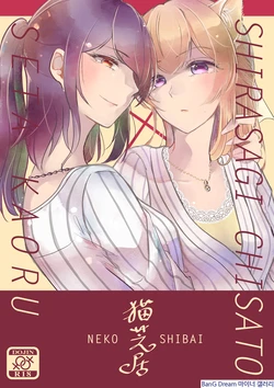 (BanG Dreamer's Party! 9th STAGE) [Minudorikan (Minu)] Neko Shibai | Cat play (BanG Dream!) [Korean]