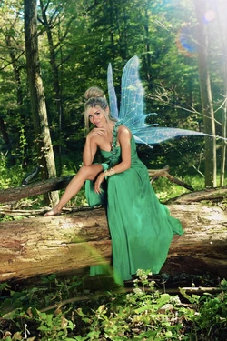 Lisa Mancinerh - Tinkerbell