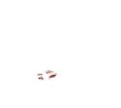 [CG][RJ312221][Nyc's Land]アリスと不思議な少女たち